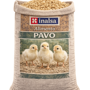 Pavos Primera Edad PV-1