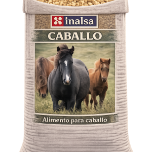 Caballo Ejercicio Moderado E-2