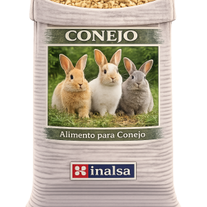 Conejo Cebo C-3