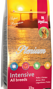 Inalcan Plenium Intensive 15Kg
