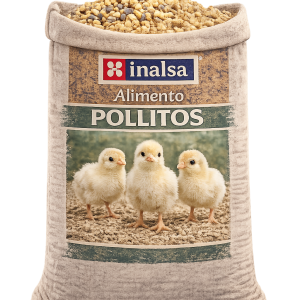 Pollos  A-11 Inicio